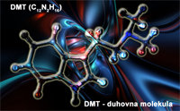 DMT - duhovna molekula